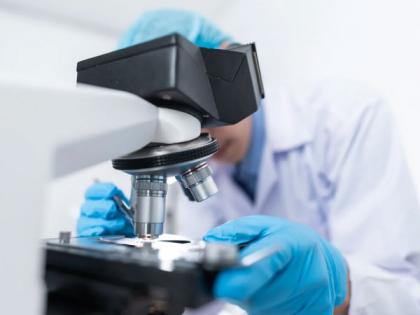 Researchers discovers relationship between higher female fertility and Alzheimer's disease genetic mutation | Researchers discovers relationship between higher female fertility and Alzheimer's disease genetic mutation Researchers discovers relationship between higher female fertility and Alzheimer's disease genetic mutation | Researchers discovers relationship between higher female fertility and Alzheimer's disease genetic mutation