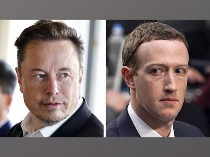 "Zuck is a chicken": Elon Musk responds to Meta CEO's "time to move on" remarks on their cage fight | "Zuck is a chicken": Elon Musk responds to Meta CEO's "time to move on" remarks on their cage fight