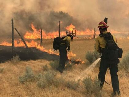 US: Montana rules in favour of youths in landmark climate decision | US: Montana rules in favour of youths in landmark climate decision