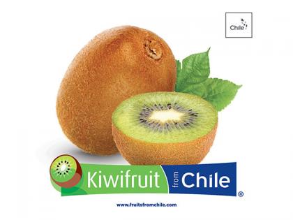 5 reasons why you should eat 1 Chilean kiwi fruit everyday | 5 reasons why you should eat 1 Chilean kiwi fruit everyday 5 reasons why you should eat 1 Chilean kiwi fruit everyday | 5 reasons why you should eat 1 Chilean kiwi fruit everyday