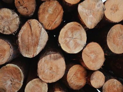 Pakistan: Kohistan residents allege timber smuggling | Pakistan: Kohistan residents allege timber smuggling Pakistan: Kohistan residents allege timber smuggling | Pakistan: Kohistan residents allege timber smuggling