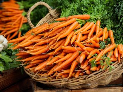 Nutrients in microgreens, mature vegetables differ yet both help you lose weight: Study | Nutrients in microgreens, mature vegetables differ yet both help you lose weight: Study Nutrients in microgreens, mature vegetables differ yet both help you lose weight: Study | Nutrients in microgreens, mature vegetables differ yet both help you lose weight: Study