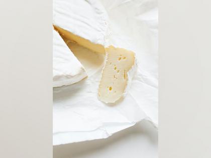 Researchers identify microbes required to produce traditional mozzarella | Researchers identify microbes required to produce traditional mozzarella