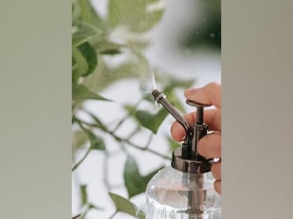 Study suggests spray method for bioactive materials | Study suggests spray method for bioactive materials Study suggests spray method for bioactive materials | Study suggests spray method for bioactive materials