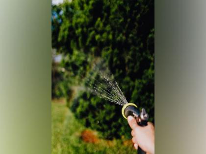 Study finds bioactive material spraying technique | Study finds bioactive material spraying technique Study finds bioactive material spraying technique | Study finds bioactive material spraying technique