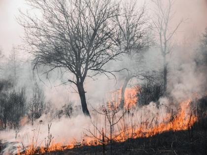 Hawaii wildfire: Officials release list of 388 “unaccounted” people, 100 names crossed-off later | Hawaii wildfire: Officials release list of 388 “unaccounted” people, 100 names crossed-off later Hawaii wildfire: Officials release list of 388 “unaccounted” people, 100 names crossed-off later | Hawaii wildfire: Officials release list of 388 “unaccounted” people, 100 names crossed-off later