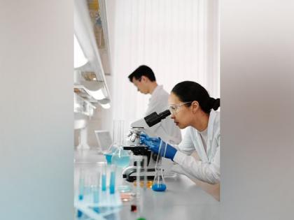 To harvest fresh water out of vapour in air, researchers take inspiration from spider webs, beetles | To harvest fresh water out of vapour in air, researchers take inspiration from spider webs, beetles To harvest fresh water out of vapour in air, researchers take inspiration from spider webs, beetles | To harvest fresh water out of vapour in air, researchers take inspiration from spider webs, beetles