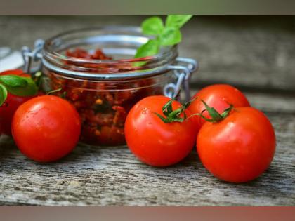 First line of defence against deadly ToCSV tomato virus explored | First line of defence against deadly ToCSV tomato virus explored First line of defence against deadly ToCSV tomato virus explored | First line of defence against deadly ToCSV tomato virus explored