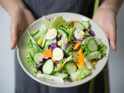 Sanitized ready-to-eat salad may contain disease-causing bacteria: Research | Sanitized ready-to-eat salad may contain disease-causing bacteria: Research Sanitized ready-to-eat salad may contain disease-causing bacteria: Research | Sanitized ready-to-eat salad may contain disease-causing bacteria: Research