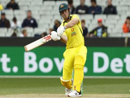 Sangha magic, hard-hitting Marsh power Australia to 111-run victory against South Africa | Sangha magic, hard-hitting Marsh power Australia to 111-run victory against South Africa