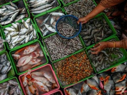 10th Al Maleh and Fishing Festival kicks off in Dibba Al Hisn | 10th Al Maleh and Fishing Festival kicks off in Dibba Al Hisn 10th Al Maleh and Fishing Festival kicks off in Dibba Al Hisn | 10th Al Maleh and Fishing Festival kicks off in Dibba Al Hisn