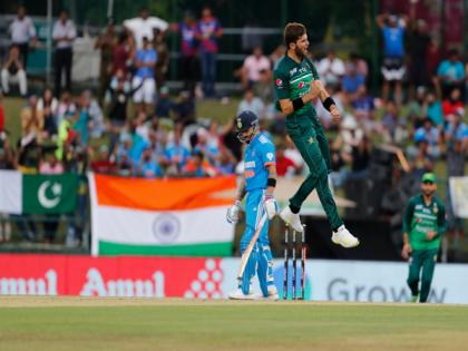 "Virat is backbone of Indian team": Pakistan pacer Shaheen Afridi | "Virat is backbone of Indian team": Pakistan pacer Shaheen Afridi