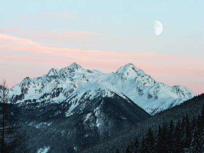 Climate change may permanently alter mountain forests: Study | Climate change may permanently alter mountain forests: Study Climate change may permanently alter mountain forests: Study | Climate change may permanently alter mountain forests: Study