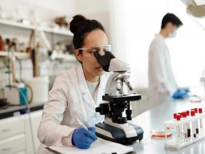 Study suggests energy-efficient method of capturing and transforming CO2 | Study suggests energy-efficient method of capturing and transforming CO2