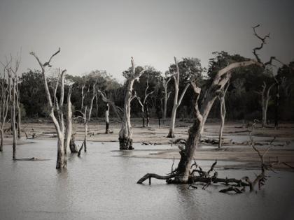 New super-fast flood model has potential to save lives: Study | New super-fast flood model has potential to save lives: Study New super-fast flood model has potential to save lives: Study | New super-fast flood model has potential to save lives: Study