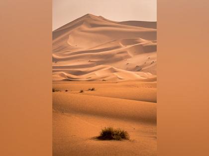 Researchers discover why, when Sahara Desert was green | Researchers discover why, when Sahara Desert was green Researchers discover why, when Sahara Desert was green | Researchers discover why, when Sahara Desert was green
