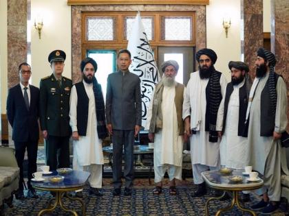 China appoints new ambassador to Afghanistan | China appoints new ambassador to Afghanistan China appoints new ambassador to Afghanistan | China appoints new ambassador to Afghanistan