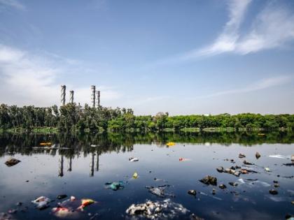 Microorganisms can create electricity from wastewater: Study | Microorganisms can create electricity from wastewater: Study Microorganisms can create electricity from wastewater: Study | Microorganisms can create electricity from wastewater: Study