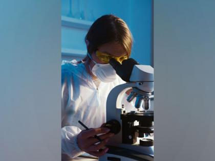 How do harmful proteins accumulate in Alzheimer's and other diseases? | How do harmful proteins accumulate in Alzheimer's and other diseases? How do harmful proteins accumulate in Alzheimer's and other diseases? | How do harmful proteins accumulate in Alzheimer's and other diseases?