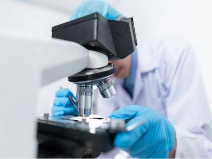 Study uses magnetoresistance of MXene to predict distribution of molecules | Study uses magnetoresistance of MXene to predict distribution of molecules Study uses magnetoresistance of MXene to predict distribution of molecules | Study uses magnetoresistance of MXene to predict distribution of molecules