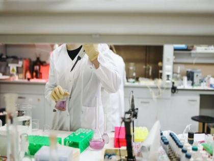 New study reveals how bats evolved to avoid cancer | New study reveals how bats evolved to avoid cancer