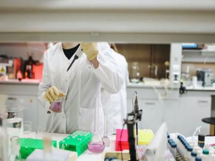 Study examines benefits and risk of using plastic in agriculture | Study examines benefits and risk of using plastic in agriculture Study examines benefits and risk of using plastic in agriculture | Study examines benefits and risk of using plastic in agriculture