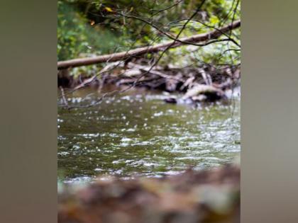Microplastic sources and hidden sinks can be found in rivers | Microplastic sources and hidden sinks can be found in rivers Microplastic sources and hidden sinks can be found in rivers | Microplastic sources and hidden sinks can be found in rivers