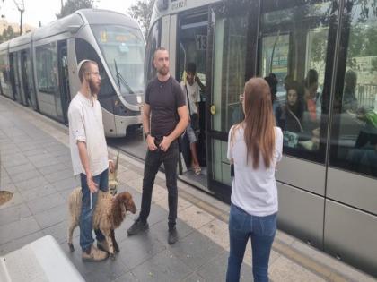 Israeli man seeking to sacrifice goat on Temple Mount arrested | Israeli man seeking to sacrifice goat on Temple Mount arrested Israeli man seeking to sacrifice goat on Temple Mount arrested | Israeli man seeking to sacrifice goat on Temple Mount arrested