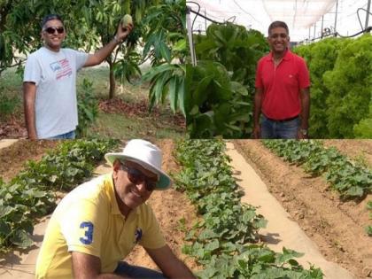 Cultivating Sustainability: Raj-Shree Farms and Its Synergy with Mangofolks | Cultivating Sustainability: Raj-Shree Farms and Its Synergy with Mangofolks Cultivating Sustainability: Raj-Shree Farms and Its Synergy with Mangofolks | Cultivating Sustainability: Raj-Shree Farms and Its Synergy with Mangofolks