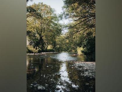 Increased saline spells trouble for freshwater insects like mayflies: Study | Increased saline spells trouble for freshwater insects like mayflies: Study