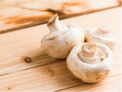 Research suggests that low doses of mushrooms may be beneficial for mental diseases | Research suggests that low doses of mushrooms may be beneficial for mental diseases Research suggests that low doses of mushrooms may be beneficial for mental diseases | Research suggests that low doses of mushrooms may be beneficial for mental diseases