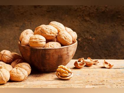 Walnuts from Chile new season in India | Walnuts from Chile new season in India Walnuts from Chile new season in India | Walnuts from Chile new season in India