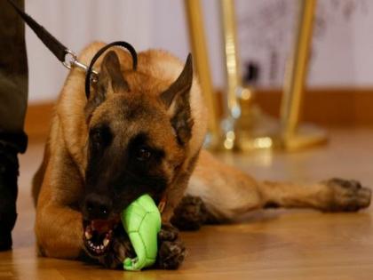 Israel military's Canine Unit rescues 200 people in Kibbutz | Israel military's Canine Unit rescues 200 people in Kibbutz Israel military's Canine Unit rescues 200 people in Kibbutz | Israel military's Canine Unit rescues 200 people in Kibbutz