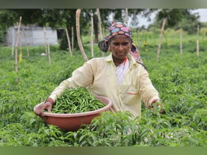 WOTR Catalyses Agricultural Transformation: Jalna's FPOs Record Rs 3.43 Crores Turnover in Merely Four Months | WOTR Catalyses Agricultural Transformation: Jalna's FPOs Record Rs 3.43 Crores Turnover in Merely Four Months WOTR Catalyses Agricultural Transformation: Jalna's FPOs Record Rs 3.43 Crores Turnover in Merely Four Months | WOTR Catalyses Agricultural Transformation: Jalna's FPOs Record Rs 3.43 Crores Turnover in Merely Four Months