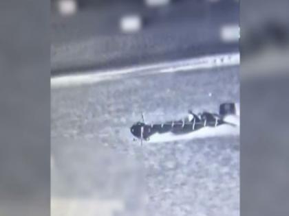 IDF thwarts Hamas' sea-borne infiltration attempt, kills several terrorists | IDF thwarts Hamas' sea-borne infiltration attempt, kills several terrorists IDF thwarts Hamas' sea-borne infiltration attempt, kills several terrorists | IDF thwarts Hamas' sea-borne infiltration attempt, kills several terrorists