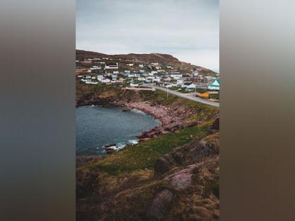 Early whaling may eradicate species from local waters: Study | Early whaling may eradicate species from local waters: Study Early whaling may eradicate species from local waters: Study | Early whaling may eradicate species from local waters: Study