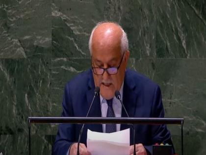 Stop the bombs and save lives: Palestine envoy at UN | Stop the bombs and save lives: Palestine envoy at UN Stop the bombs and save lives: Palestine envoy at UN | Stop the bombs and save lives: Palestine envoy at UN