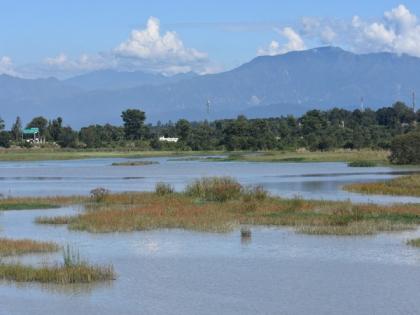 NASA-ISRO radar mission to provide dynamic view of forests, wetlands | NASA-ISRO radar mission to provide dynamic view of forests, wetlands NASA-ISRO radar mission to provide dynamic view of forests, wetlands | NASA-ISRO radar mission to provide dynamic view of forests, wetlands