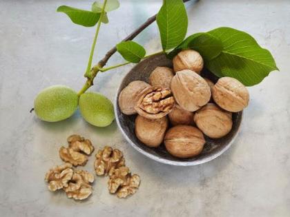 California Walnuts: A Timeless Icon of Taste and Tradition Arrives in India | California Walnuts: A Timeless Icon of Taste and Tradition Arrives in India California Walnuts: A Timeless Icon of Taste and Tradition Arrives in India | California Walnuts: A Timeless Icon of Taste and Tradition Arrives in India