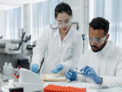 Study sheds light on epigenetic changes in cancer progression | Study sheds light on epigenetic changes in cancer progression