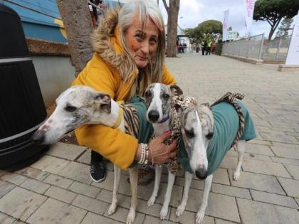 Israelis rescuing man's best friend from war | Israelis rescuing man's best friend from war Israelis rescuing man's best friend from war | Israelis rescuing man's best friend from war