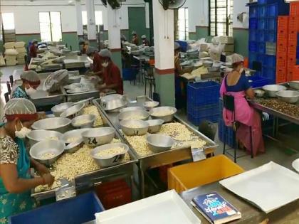 Cashew nuts from India head to markets in Qatar, Malaysia, US, Bangladesh as APEDA drives global exports | Cashew nuts from India head to markets in Qatar, Malaysia, US, Bangladesh as APEDA drives global exports