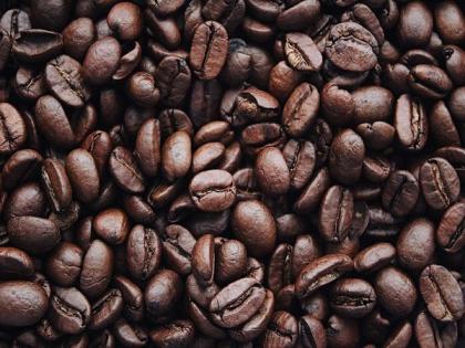 Coffee grounds can aid in the prevention of neurological problems | Coffee grounds can aid in the prevention of neurological problems Coffee grounds can aid in the prevention of neurological problems | Coffee grounds can aid in the prevention of neurological problems