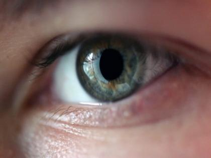 Eye scans provide vital information about kidney health: Study | Eye scans provide vital information about kidney health: Study Eye scans provide vital information about kidney health: Study | Eye scans provide vital information about kidney health: Study