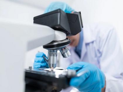 Using near-infrared spectroscopy to study how baby brain responds to touch | Using near-infrared spectroscopy to study how baby brain responds to touch Using near-infrared spectroscopy to study how baby brain responds to touch | Using near-infrared spectroscopy to study how baby brain responds to touch