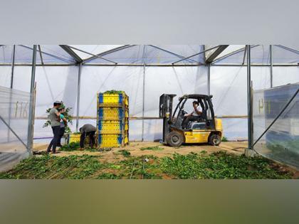 Ecuador discusses sending thousands of agricultural workers to Israel | Ecuador discusses sending thousands of agricultural workers to Israel Ecuador discusses sending thousands of agricultural workers to Israel | Ecuador discusses sending thousands of agricultural workers to Israel