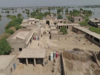 Pakistan: Flood victims in Sindh awaiting relief | Pakistan: Flood victims in Sindh awaiting relief Pakistan: Flood victims in Sindh awaiting relief | Pakistan: Flood victims in Sindh awaiting relief