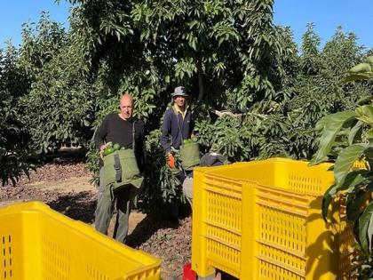 Cabinet dispute delays decision on entry of Palestinian workers to Israel | Cabinet dispute delays decision on entry of Palestinian workers to Israel Cabinet dispute delays decision on entry of Palestinian workers to Israel | Cabinet dispute delays decision on entry of Palestinian workers to Israel