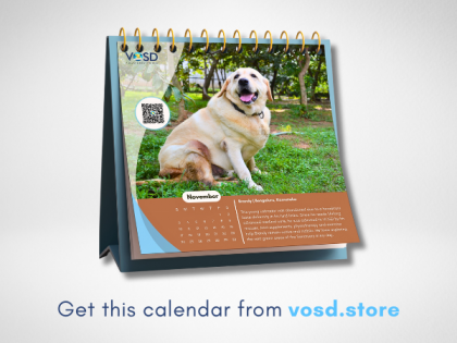 Unleash Joy in Every Month: VOSD 2024 Calendar Featuring Adorable Dogs - Now Available Exclusively on VOSD.STORE | Unleash Joy in Every Month: VOSD 2024 Calendar Featuring Adorable Dogs - Now Available Exclusively on VOSD.STORE Unleash Joy in Every Month: VOSD 2024 Calendar Featuring Adorable Dogs - Now Available Exclusively on VOSD.STORE | Unleash Joy in Every Month: VOSD 2024 Calendar Featuring Adorable Dogs - Now Available Exclusively on VOSD.STORE