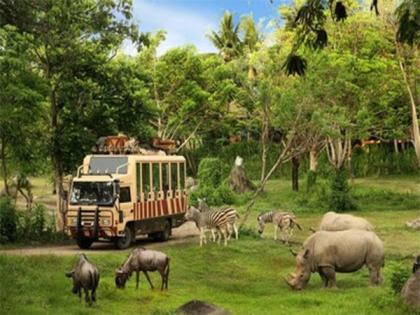 Plan Your Year-End Vacation with Taman Safari Bali | Plan Your Year-End Vacation with Taman Safari Bali Plan Your Year-End Vacation with Taman Safari Bali | Plan Your Year-End Vacation with Taman Safari Bali